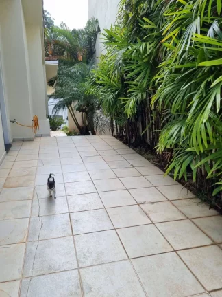 Imagem Casa maravilhosa a venda SPII