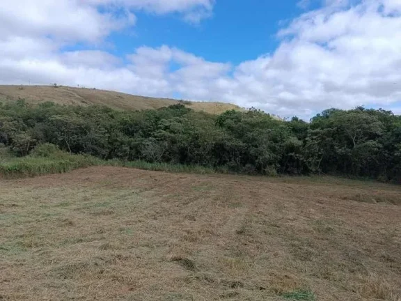 Imagem Oportunidade Única: Terreno de 5.500m2 em Campolide