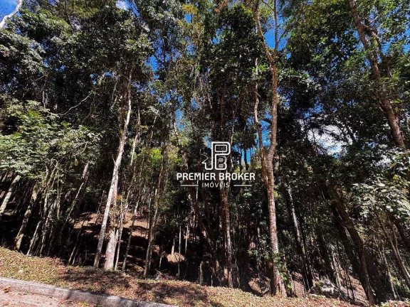 Imagem Terreno à venda, 10.793m² por R$ 440.000 - Albuquerque - Teresópolis/RJ