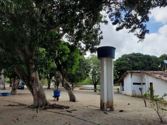 Imagem Granja para Venda em Macaíba, Centro, 2 dormitórios, 3 banheiros, 9 vagas