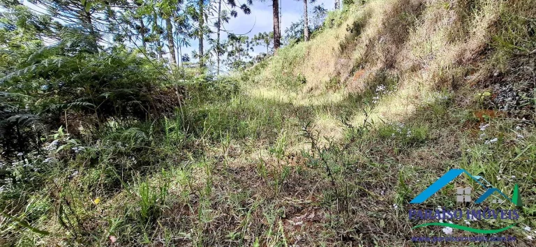 Imagem Viva o sonho na Serra da Mantiqueira neste aconchegante terreno!