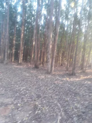 Imagem Área á venda em São Pedro, Bairro Tanquã, com 2 alqueires e 18.000m² - Atual.20-10-25