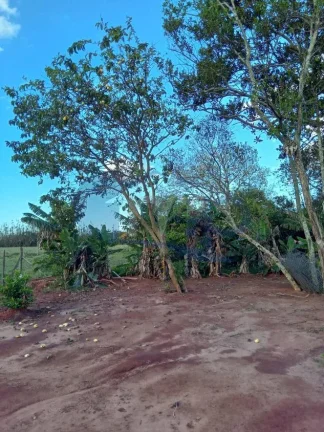Imagem Casa á venda com 2 dormitórios no São Braz em Torres/RS