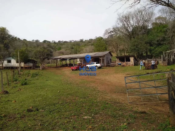 Imagem Fazenda à Venda, 28,5 Alqueires, Pinhal Grande, Laranjal/PR