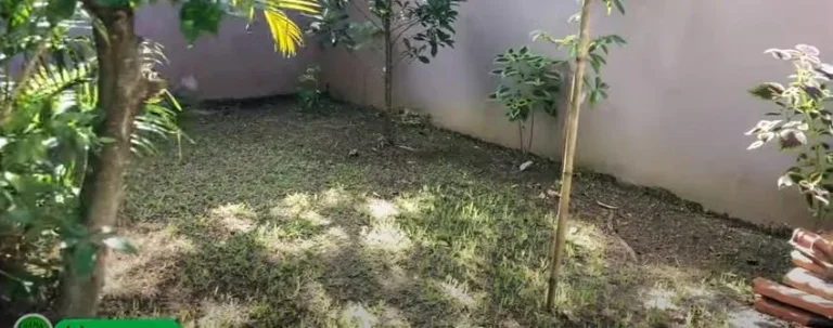 Imagem Casa para Venda em Itanhaém, Parque Augustus, 3 dormitórios, 1 suíte, 2 banheiros, 4 vagas