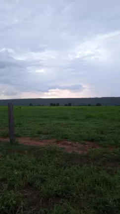 Imagem FAZENDA COM GRANJA DE FRANGOS DE CORTES EM MUTUM MATO GROSSO