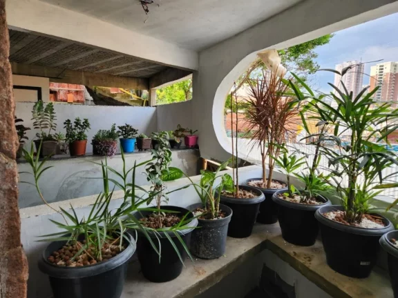 Imagem Imóvel de luxo com 5 quartos e 2 suítes no Jardim São Paulo, São Paulo-SP: confira esta oportunidade única!