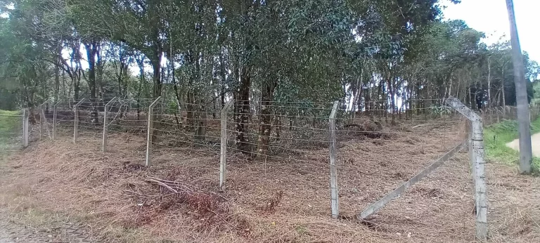 Imagem Chácara à venda em Campo Largo/PR