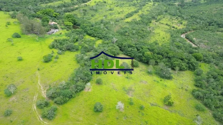 Imagem Fazenda 36 Alqs com 2,5 kms beira Rio dos Bois 60% em Permuta