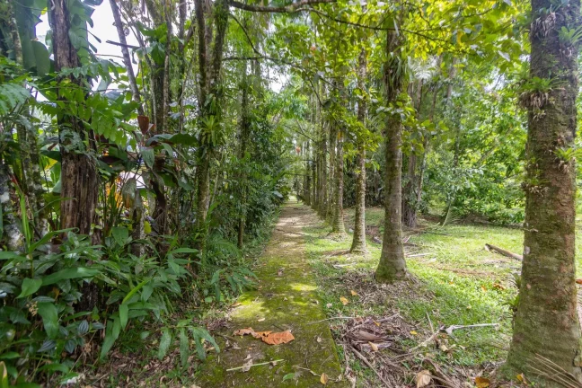 Imagem Chácara Porto de Cima