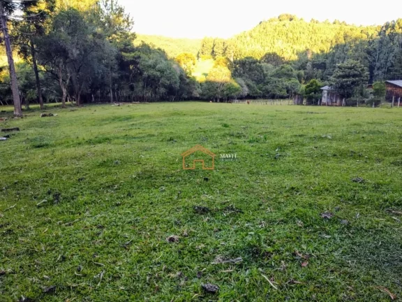 Imagem CHACARA RURAL em CAMPO BELO DO SUL - SC, Interior