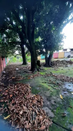 Imagem Lote à Venda no Bairro Glória Belo Horizonte MG
