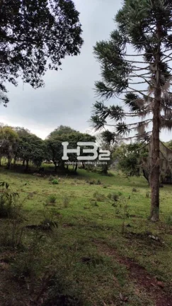 Imagem ÁREA A VENDA BOM JESUS DIVISA MONTE ALEGRE DOS CAMPOS RS