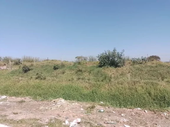 Imagem Área para alugar, 1500 m² por R$ 1.725,00/mês - Cidade Miguel Badra - Suzano/SP