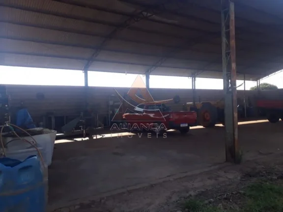 Imagem Fazenda - Cajuru - Zona Rural