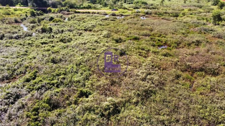 Imagem Terreno com 5.000m² próximo ao início da Av Pantaneira em Cambé