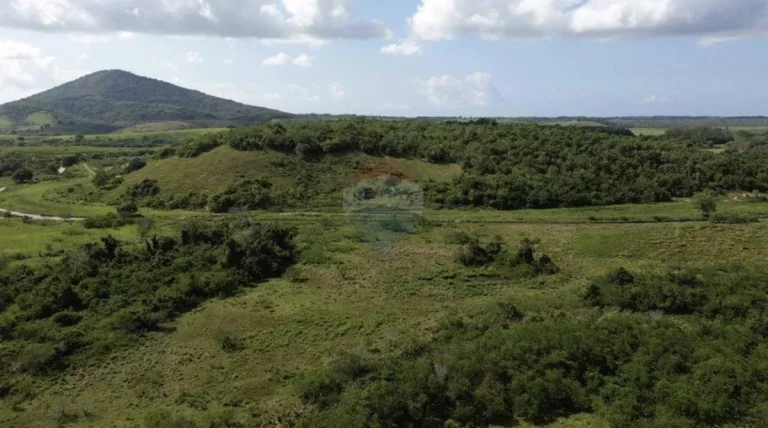 Imagem Fazenda à Venda, 1.449.875 m² em Zona Rural - Anchieta