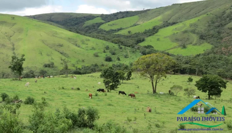 Imagem Fazenda Espetacular às Margens da Represa de Furnas - Oportunidade Única!