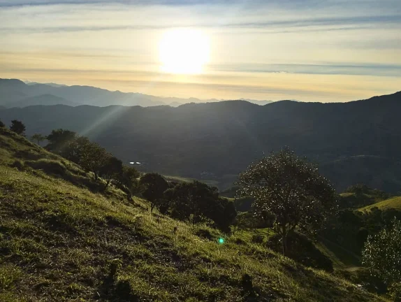 Imagem Legado e Exclusividade: Vinícola Particular no Alto da Boa Vista com 137.000 m² e Vista Panorâmica