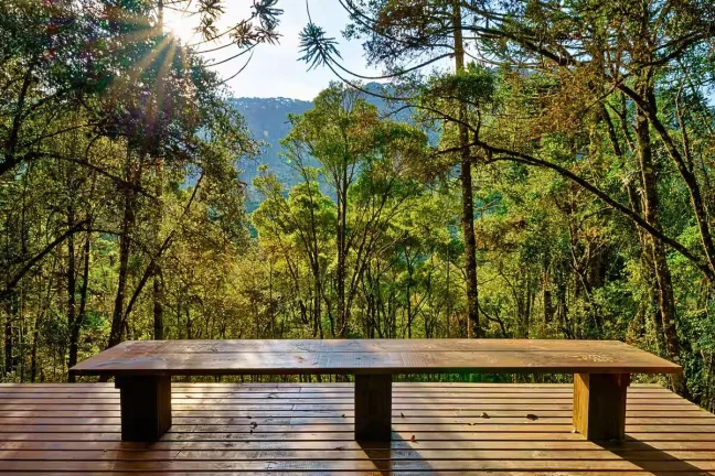 Imagem Cabana Moderna: Onde a Arquitetura se Mescla com a Floresta de Gonçalves