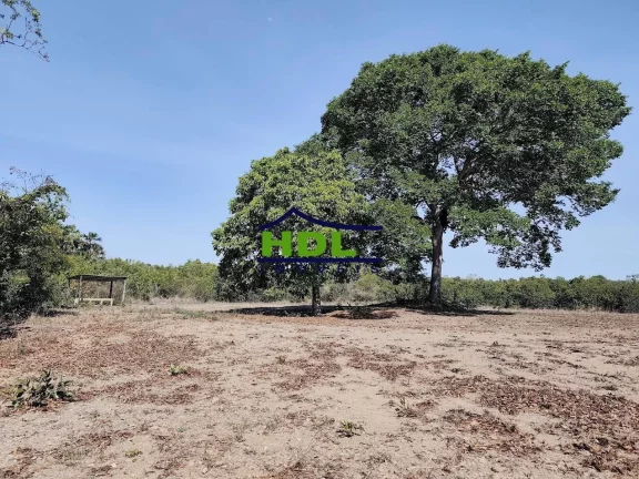 Imagem Fazenda 17,7 ou 10 Alqs Dupla Aptidão em PIracanjuba/GO