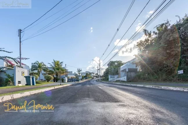 Imagem Lote com fundo e vista livre para a reserva na Travessa Orquídeas