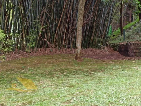 Imagem Vendo Sítio Alto Padrão a 5 Min do Centro de Friburgo