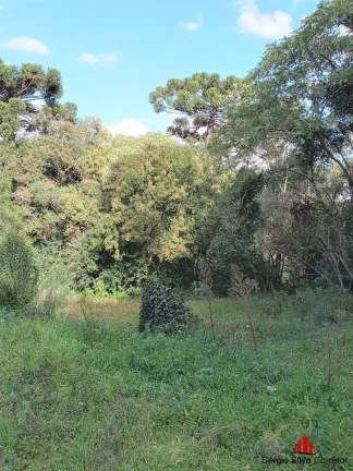 Imagem Terreno a Venda Com 1.290,00 m², no Jardim Embaixador em Campos do Jordão.