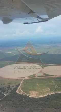 Imagem Fazenda - João Pinheiro - João Pinheiro