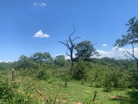 Imagem ÁREA DE 2 HECTARES , EM JUATUBA! IDEAL PARA CONSTRUTORES.