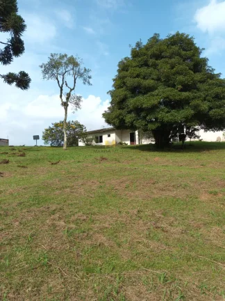 Imagem Chácara à venda em Piraquara, próxima ao Novo Projeto do Santuário Terra Prometida, do Padre Reginaldo Manzotti!!!