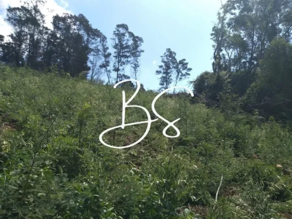 Imagem SITIO RURAL em IGREJINHA - RS, Serra Grande