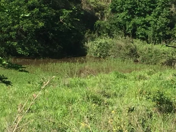 Imagem FAZENDA RURAL em COLATINA - ES, ÁREA RURAL DE COLATINA