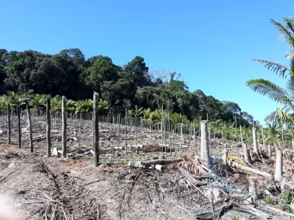 Imagem Terreno - Em rua, para Venda em São Francisco do Sul/SC