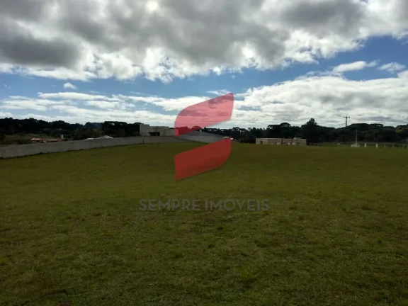 Imagem CHÁCARA à venda com 6250.86m² por R$ 660.000,00 no bairro planta laranjeiras - PIRAQUARA / PR