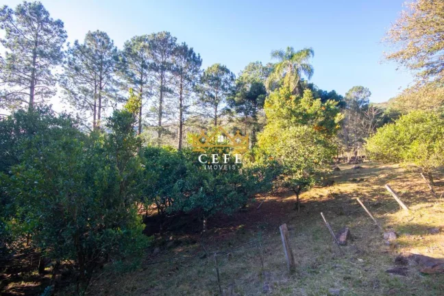 Imagem Chácara - Sítio com 3 Dormitorio(s) localizado(a) no bairro Zona Rural em Morro Reuter / RIO GRANDE DO SUL Ref.:1544