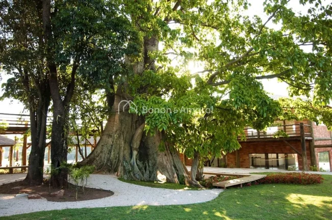 Imagem O Residencial Davos é um elegante condomínio fechado localizado no renomado Swiss Park Campinas, u...