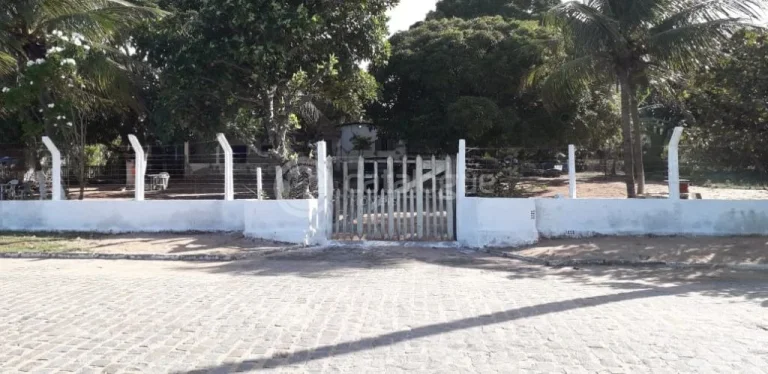 Imagem Chacara a venda em são josé de mipibu - BR 101