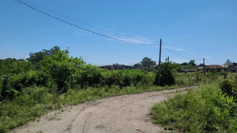 Imagem Área à venda, 15000 m² por R$ 4.530.000,00 - Caxangá - Suzano/SP
