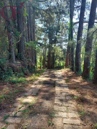 Imagem Excelente área com 26.000m² - Bairro Nova Era - Itupeva - SP