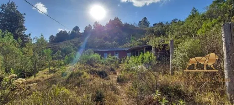 Imagem Lote com vista permanente