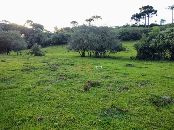 Imagem CHACARA RURAL em CAMPO BELO DO SUL - SC, Interior