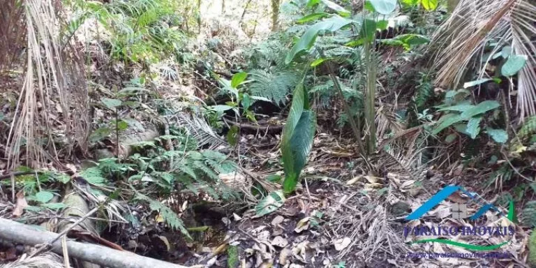 Imagem Espetacular Área Rural em Paraisópolis - Minas | 155 hectares