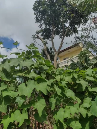 Imagem Terreno à venda, 1000 m² por R$ 800.000,00 - Jardim Zaira - Mauá/SP