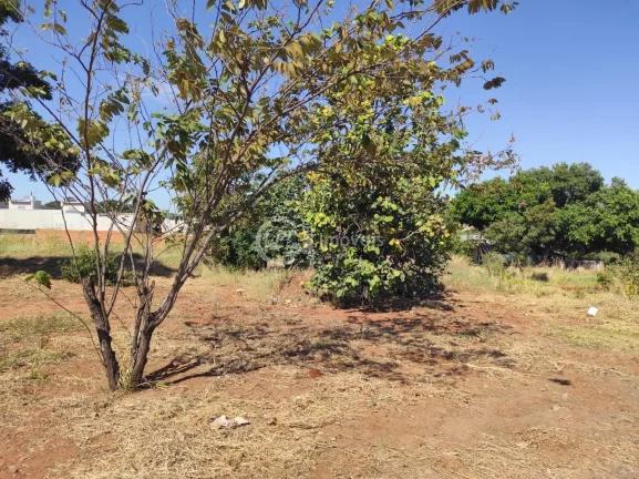 Imagem Boa localização - Jardim Mansur