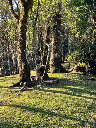 Imagem Arquitetura Autoral e Natureza Intocada: Um Refúgio Ímpar em Gonçalves