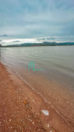 Imagem OPORTUNIDADE UNICA! EXCLUSIVO RANCHO Á VENDA DENTRO DA CIDADE, EM RIFAINA/SP
