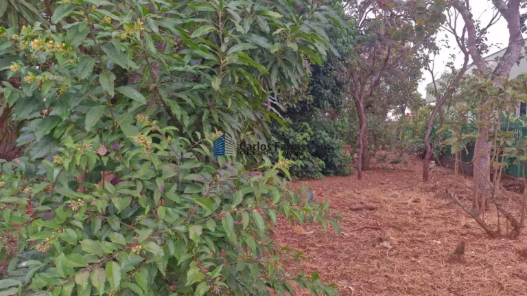Imagem Lote em Condomínio Fechado para Venda em Brasília, PARANOA