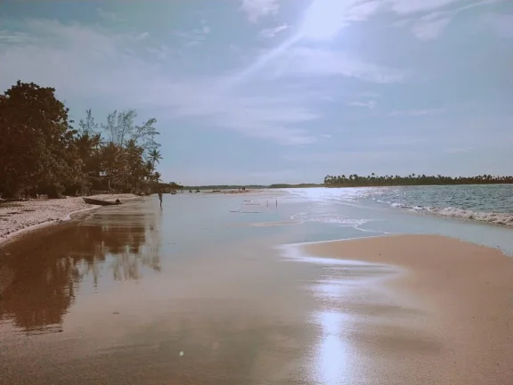 Imagem Oportunidade única: Área de Terra em Velha Boipeba, Cairu - confira!