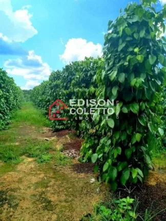 Imagem Fazenda/Sitio, Residencial/Comercial para Venda, Centro, Caraiva